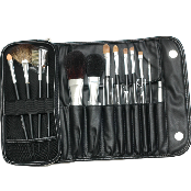 Smart brush case