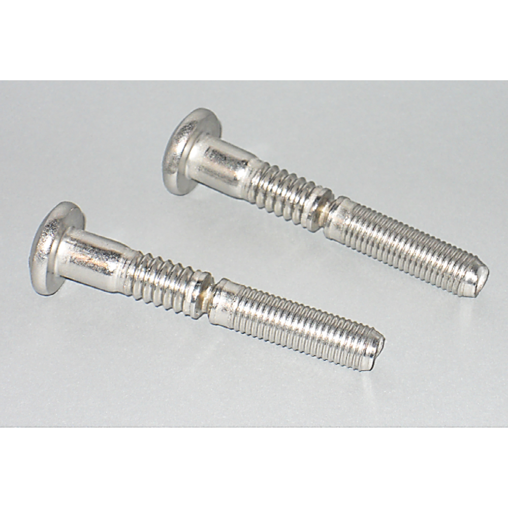 Screw Mold