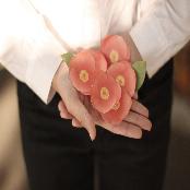 Sticky Leaf - Camellia