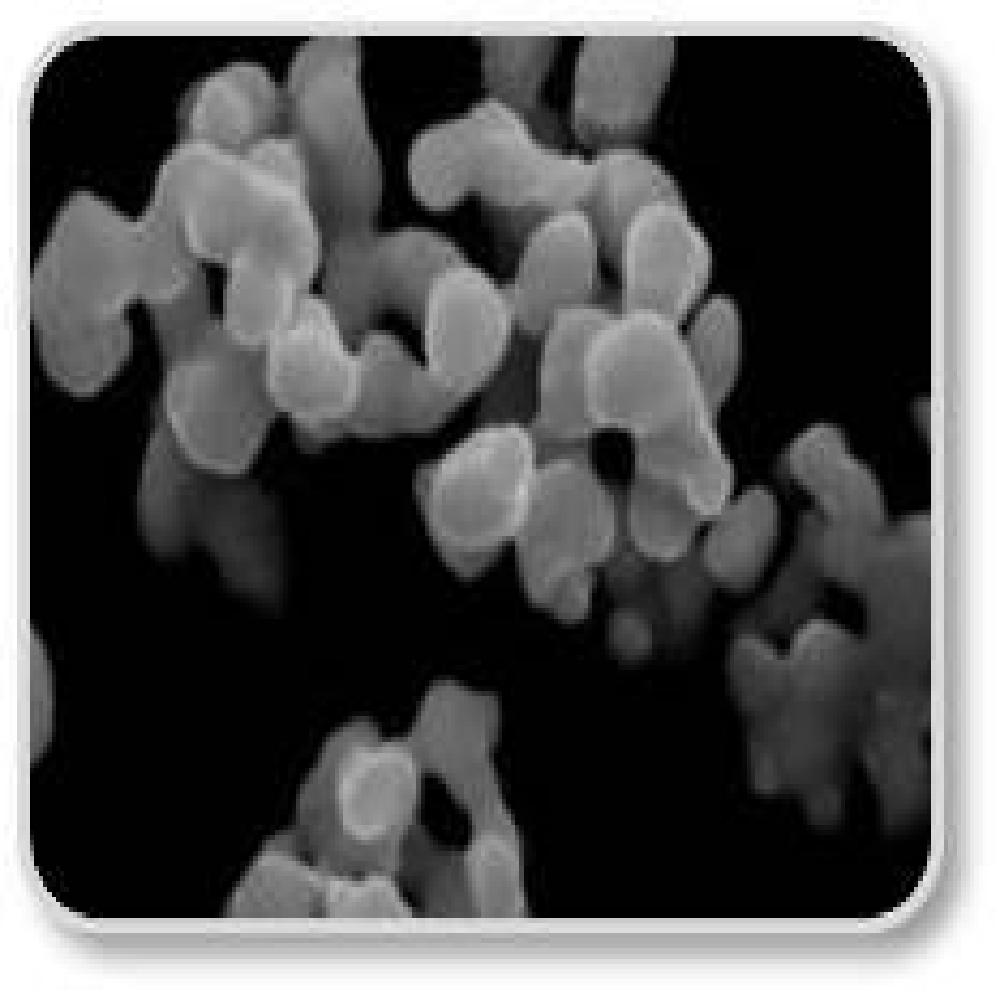 Metal Powder (W, Co, Ni)