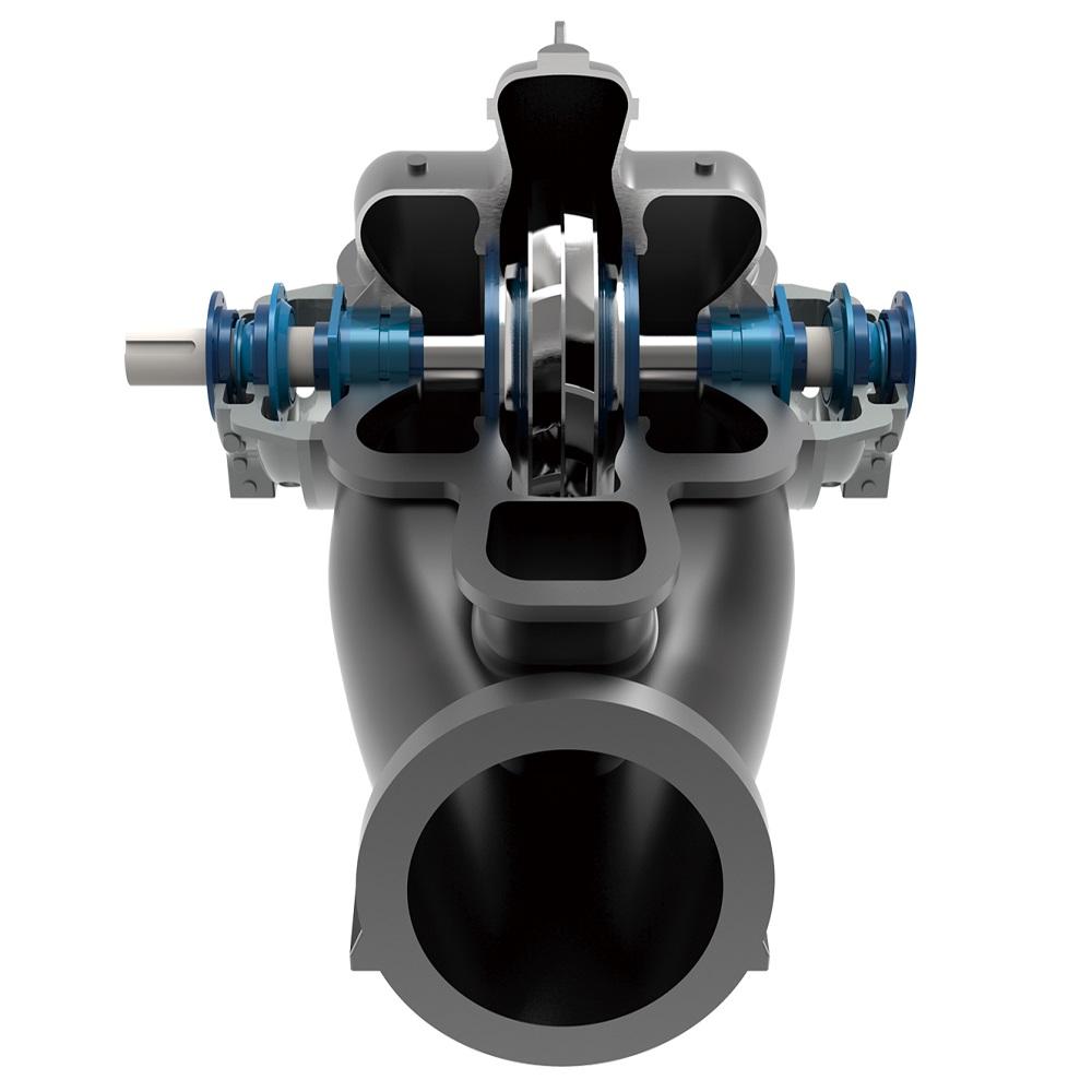 Double Suction Pumps