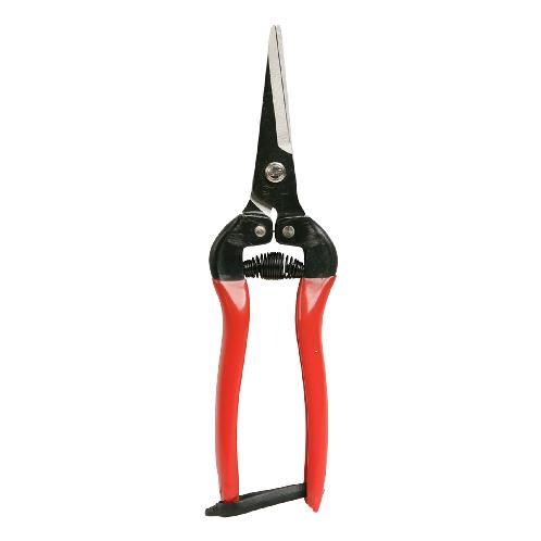 Fruit Scissors for Trimming