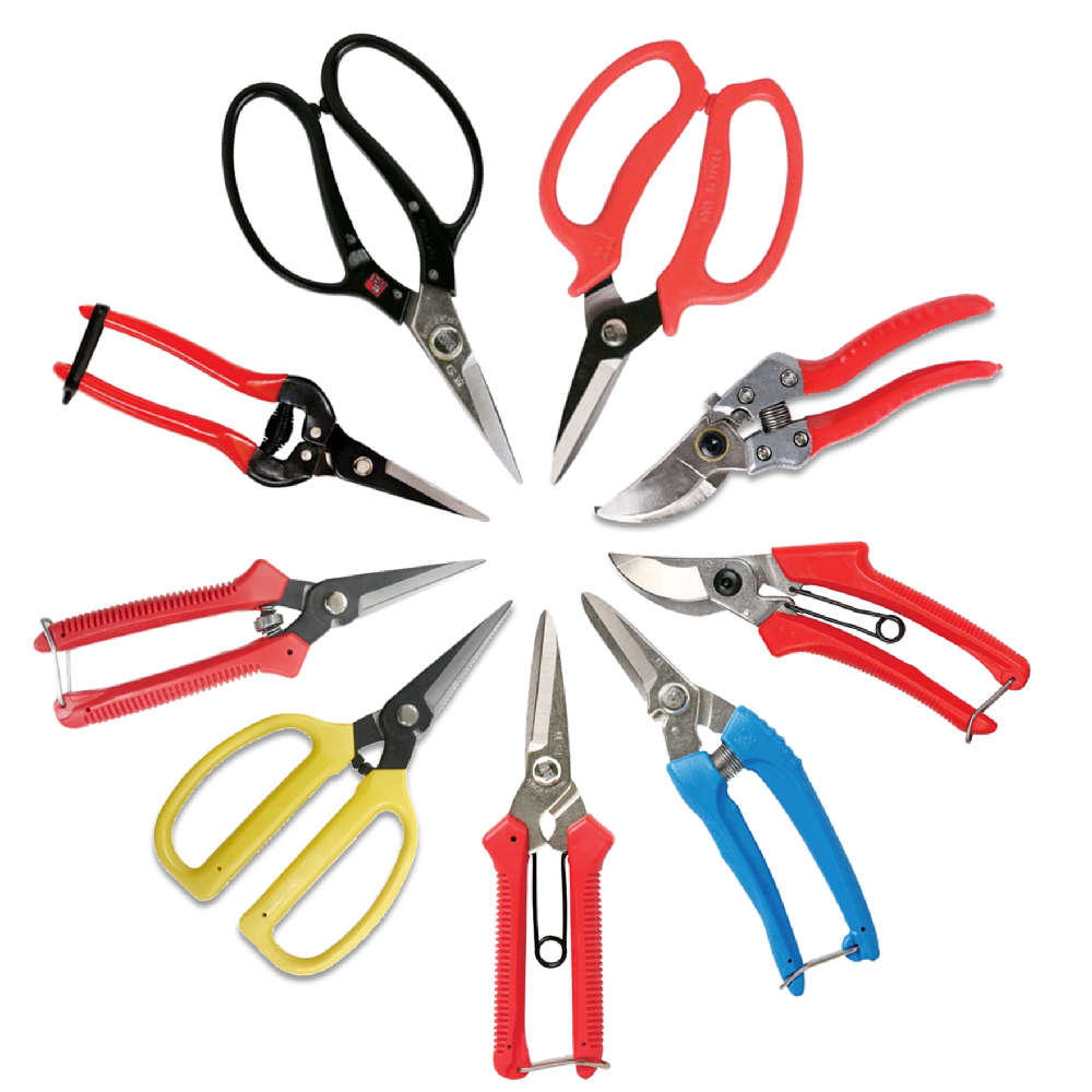 Multi Purpose Scissors