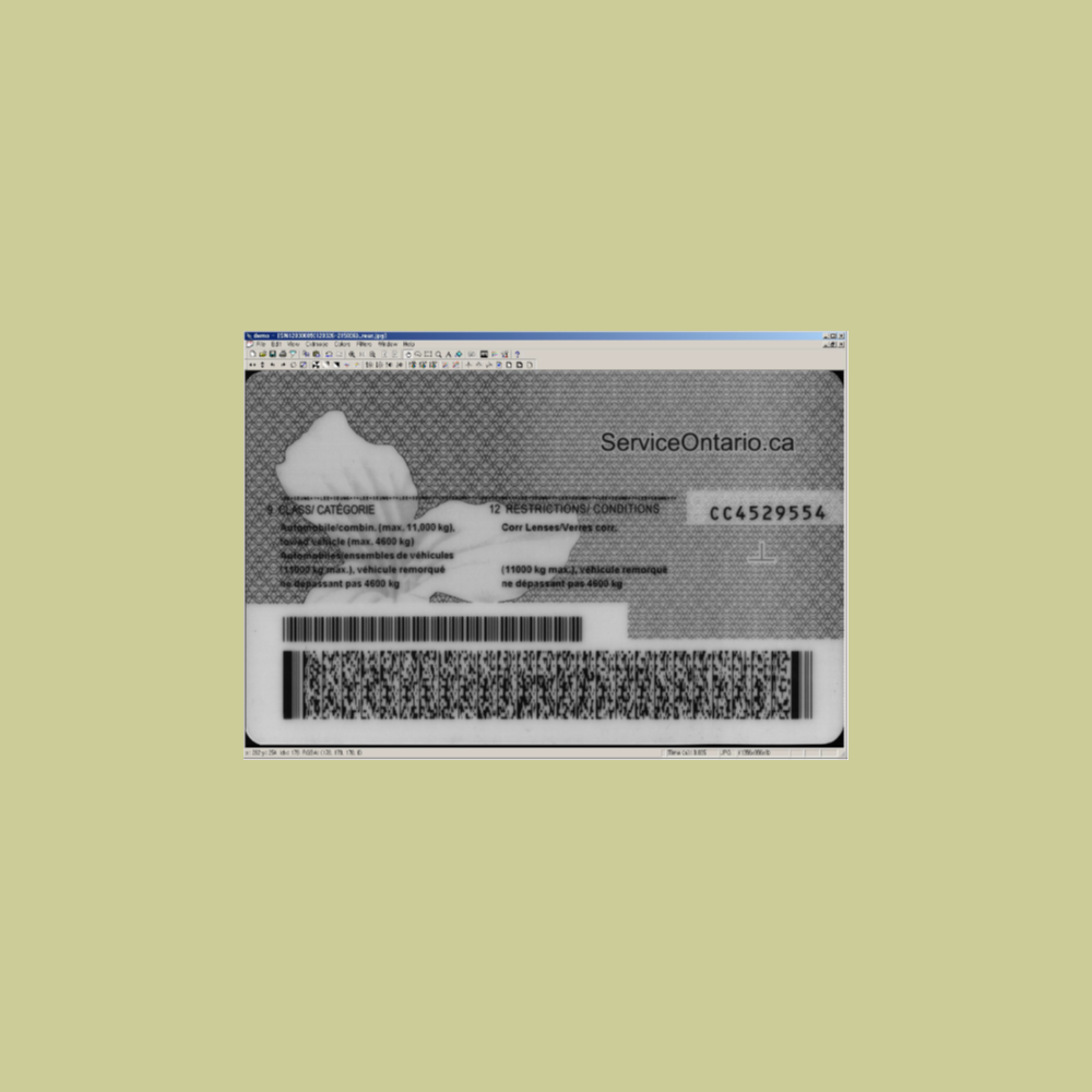 Decode Barcodes from Images and Cameras. Support to OCR and DPM (Direct Part Marking) or Dot Peen.