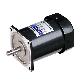 full image Induction Motor