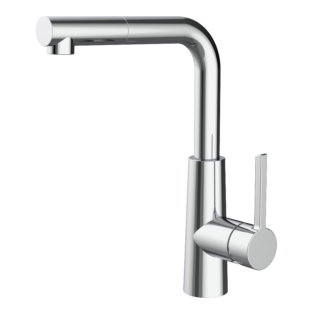 Switch shower head