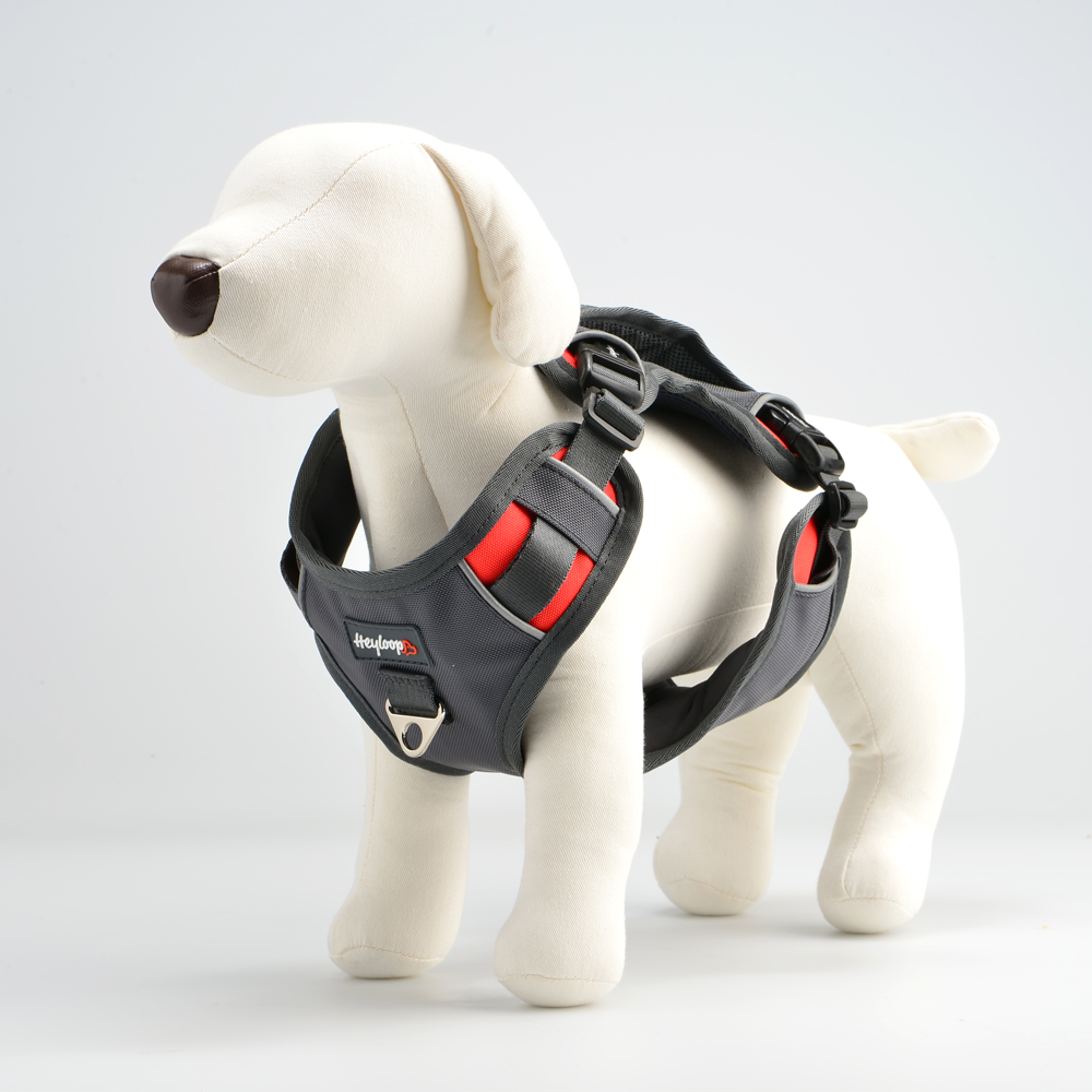 Safe Harness for pet