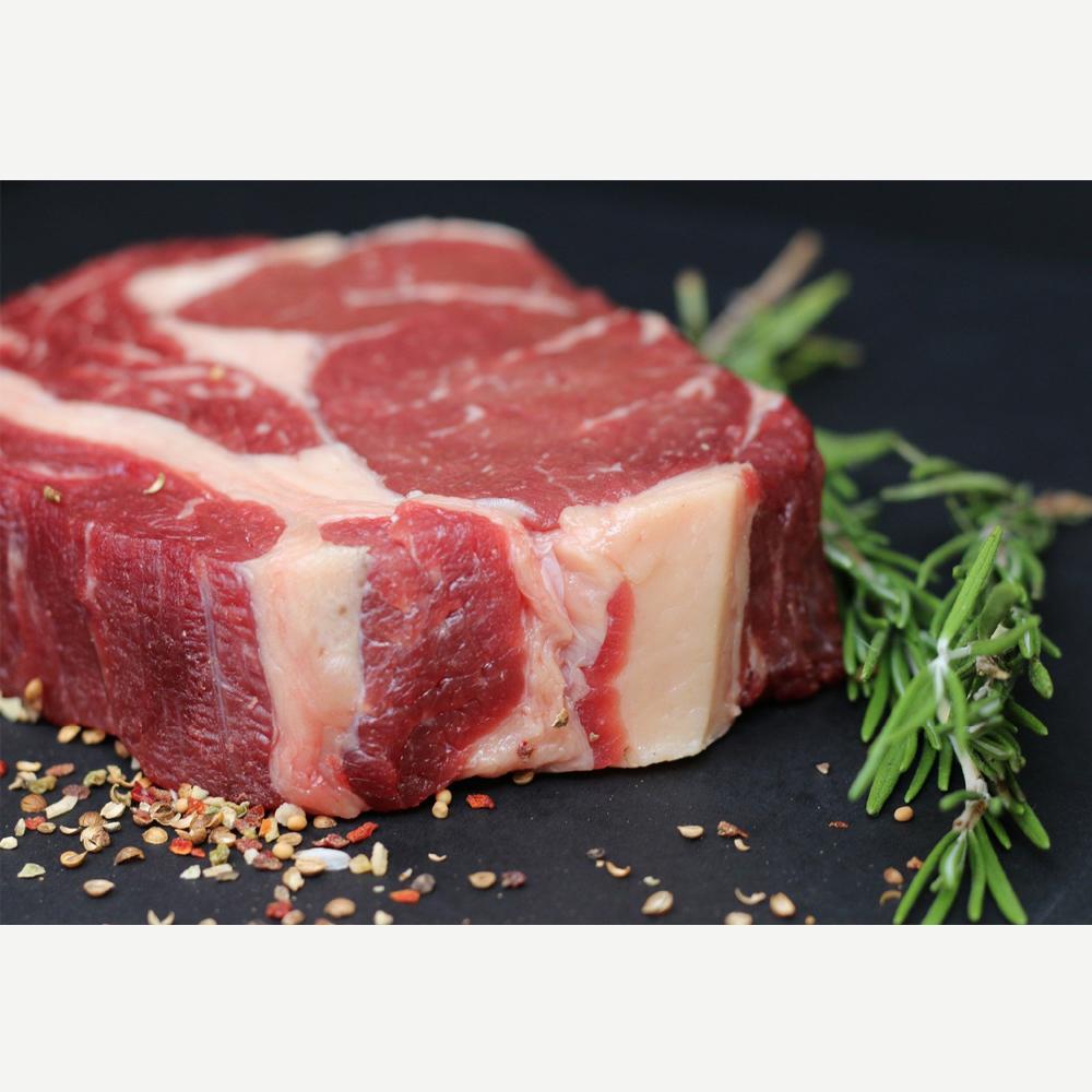 Yoojunglab Green Food storage bags XL Size