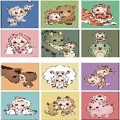 Wooaz 12 Chinese Zodiac Animal Character Wall Posters (12 Animals Poster / 1 SET) - Frame not includ