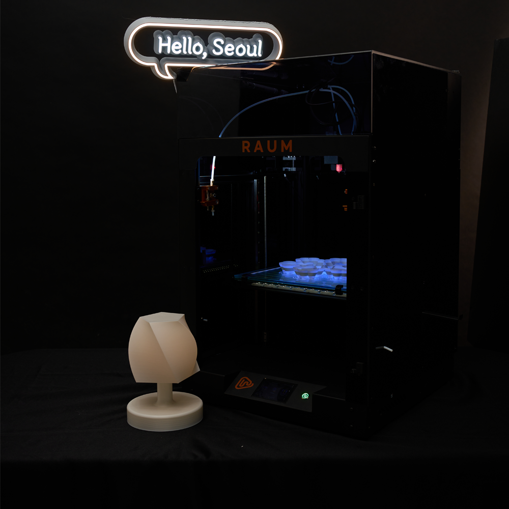 RAUM 300 SIGN , 3D PRINTER