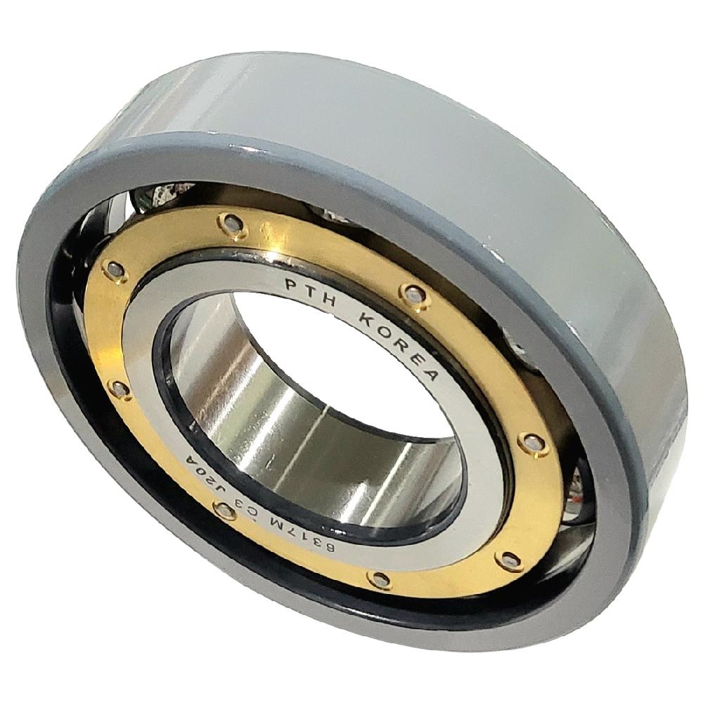 6317-M-C3-J20A INSULATED DEEP  GROOVE BALL BEARINGS