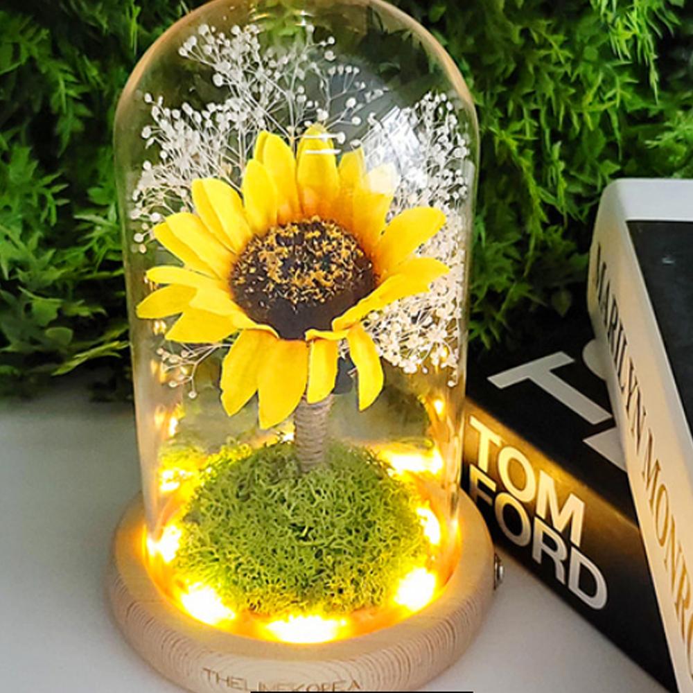 LED lucky sunflower glass dome mood light Gift