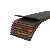 Conveyor Belt - MJ TSR