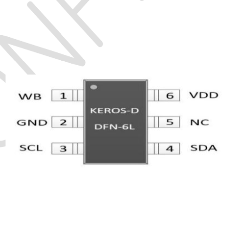 semiconductor security chip (IC)